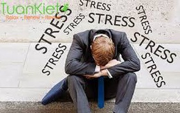 Ảnh hưởng của stress đến tính dục