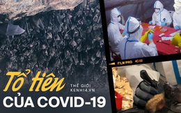 Chuyện về 'biệt đội săn dơi': Những người liều mạng với virus chết chóc nhất bậc nhất, phát hiện 'tổ tiên' của Covid-19 từ nhiều năm trước