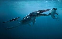 Tylosaurus: Siêu sát thủ đại dương thời tiền sử, cá mập cũng chỉ là thực đơn