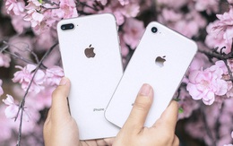 Trong tầm giá 12 - 17 triệu, đây là những mẫu smartphone đáng mua hơn iPhone SE 2020 mới