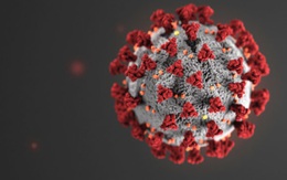 [Infographic] Cập nhật dịch Covid-19 chiều 28/4/2020