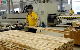 Tăng trưởng xuất khẩu của ngành gỗ Việt Nam năm 2020 có thể bằng 0%