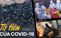 Chuyện về 'biệt đội săn dơi': Những người liều mạng với virus chết chóc bậc nhất, phát hiện 'tổ tiên' của Covid-19 từ nhiều năm trước