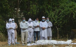 Lý giải tỷ lệ tử vong vì COVID-19 thấp tại Ấn Độ