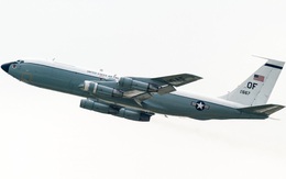 ‘Chó săn’ phát hiện vũ khí hạt nhân của không quân Mỹ