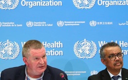 WHO lên tiếng về nguồn gốc của virus gây đại dịch Covid-19