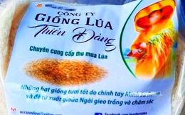 Bình Định khuyến cáo về giống lúa quảng cáo ‘ăn vào chữa được bệnh’