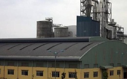 Bộ Công Thương báo cáo gì về nhà máy bột giấy nghìn tỷ đồng 'ôm' nợ PVcomBank?