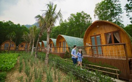 Tất tần tật các câu hỏi về farmstay: Farmstay là gì, khác gì Homestay? Vì sao nên kinh doanh farmstay tại Việt Nam?