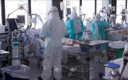 Thế giới ghi nhận trên 4.132.000 ca mắc COVID-19, 281.064 ca tử vong