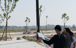 Thành lập 3 thị xã tại Thanh Hóa, Bình Định, Phú Yên, liệu có xảy ra nguy cơ sốt đất nền cục bộ?
