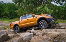 Giữa tâm dịch, một mình Ford Ranger tăng trưởng doanh số