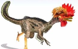 Chuyện lạ: Hồi sinh khủng long ăn thịt đã tuyệt chủng 65 triệu năm từ gà?