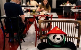 Sợ thực khách cô đơn trong mùa dịch, nhà hàng Việt nghĩ ra 'tuyệt chiêu' hay ho khiến nhiều trang báo quốc tế đồng loạt đưa tin