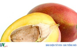 Hạt xoài mang đến những lợi ích không ngờ cho sức khỏe