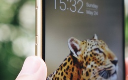 CEO BKAV Nguyễn Tử Quảng: 'Phím' là nhô lên còn 'nút' là lõm xuống, vì vậy gọi Bphone B86 'không phím bấm' là đúng