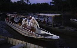 Covid-19: Những cái chết mù mờ ở trái tim của Amazon