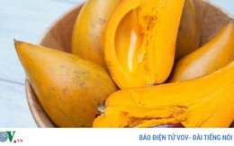 Quả trứng gà và tác dụng tuyệt vời cho sức khỏe