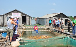 Du lịch ĐBSCL thiệt hại nặng do dịch COVID - 19