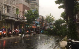 Cây đổ, đường phố Sài Gòn mênh mông nước sau trận mưa cực lớn