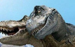 Nghiên cứu mới cho thấy khủng long bạo chúa Tyrannosaurus dựa vào giác quan thứ sáu để 'yêu'?