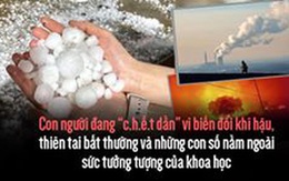 Con người đang “chết dần” vì biến đổi khí hậu, thiên tai bất thường và những con số nằm ngoài sức tưởng tượng của khoa học