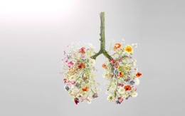 Khi môi trường luôn ô nhiễm và bệnh COVID-19 vẫn "rình rập", hãy nhớ 3 việc cần tránh xa và 9 việc cần làm để phổi luôn khỏe mạnh