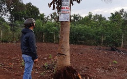 Ham đất giá rẻ và lợi nhuận cao trong lúc "sốt nóng", nhiều nhà đầu tư nếm "trái đắng"