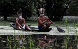 LHQ cảnh báo 'nguy cơ nghiêm trọng' từ dịch COVID-19 đối với thổ dân Amazon