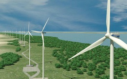 Hà Tĩnh đề xuất xây nhà máy điện gió hơn 16.000 tỷ đồng