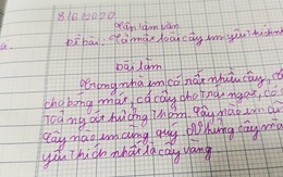 Làm văn nhưng không quên "đam mê kinh tế", cậu học sinh tiểu học khiến cộng đồng mạng phục lăn vì pha bẻ lái quá sức ấn tượng của mình