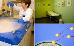 Bí ẩn ở ngân hàng tinh trùng lớn nhất thế giới