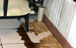 Hà Nội: "Khủng bố" bằng xăng và dầu nhớt vì bị tố cáo