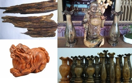 4 loại gỗ 'thần' làm đại gia Việt phát sốt