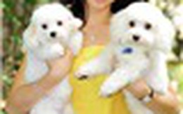 Nữ đại gia Ngô Mỹ Uyên bật mí về người tình số 1