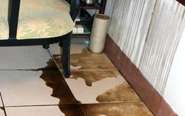 Hà Nội: Một gia đình bị "khủng bố" bằng xăng và dầu nhớt