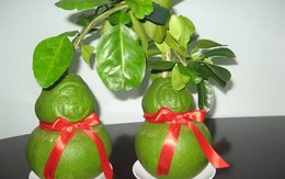 Choáng với những món quà Tết dành cho các đại gia