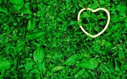 7 câu trích dẫn hay nhân ngày Tình yêu