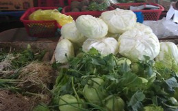 Xe ôm, rau xanh, thịt, cá "xin trợ cấp" vì xăng tăng