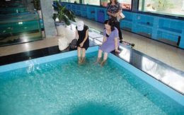 Đại gia Việt mắc bệnh huênh hoang, khoác loác?