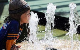 Môi trường ô nhiễm "đầu độc" sức khỏe con người