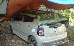 Ô tô đắp chiếu, chờ bán vì oải với xăng và phí?