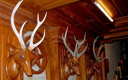 'Quý nhân' cũng quay lưng với đại gia  