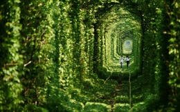 Ngất ngây với tuyến đường sắt tình yêu "kỳ diệu"