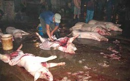 Kỳ dị "chiêu" tăng cường sức khỏe của "đồ tể" 