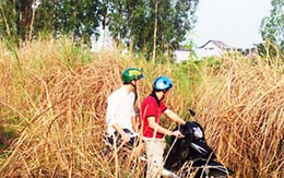 Một giờ truy bắt dân quân sát hại nhân viên ngân hàng
