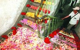 Cầu thang tình yêu với 999 đóa hồng