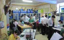 Hàng trăm nhà đầu tư đến mua căn hộ 600 triệu đồng