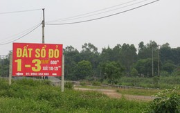 Tổng hợp thông tin bất động sản 15/7 - 21/7: Mua đất được "biếu" thêm đất