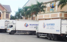 Tòa thụ lý vụ phá sản Công ty "nữ đại gia nợ tiền cá"